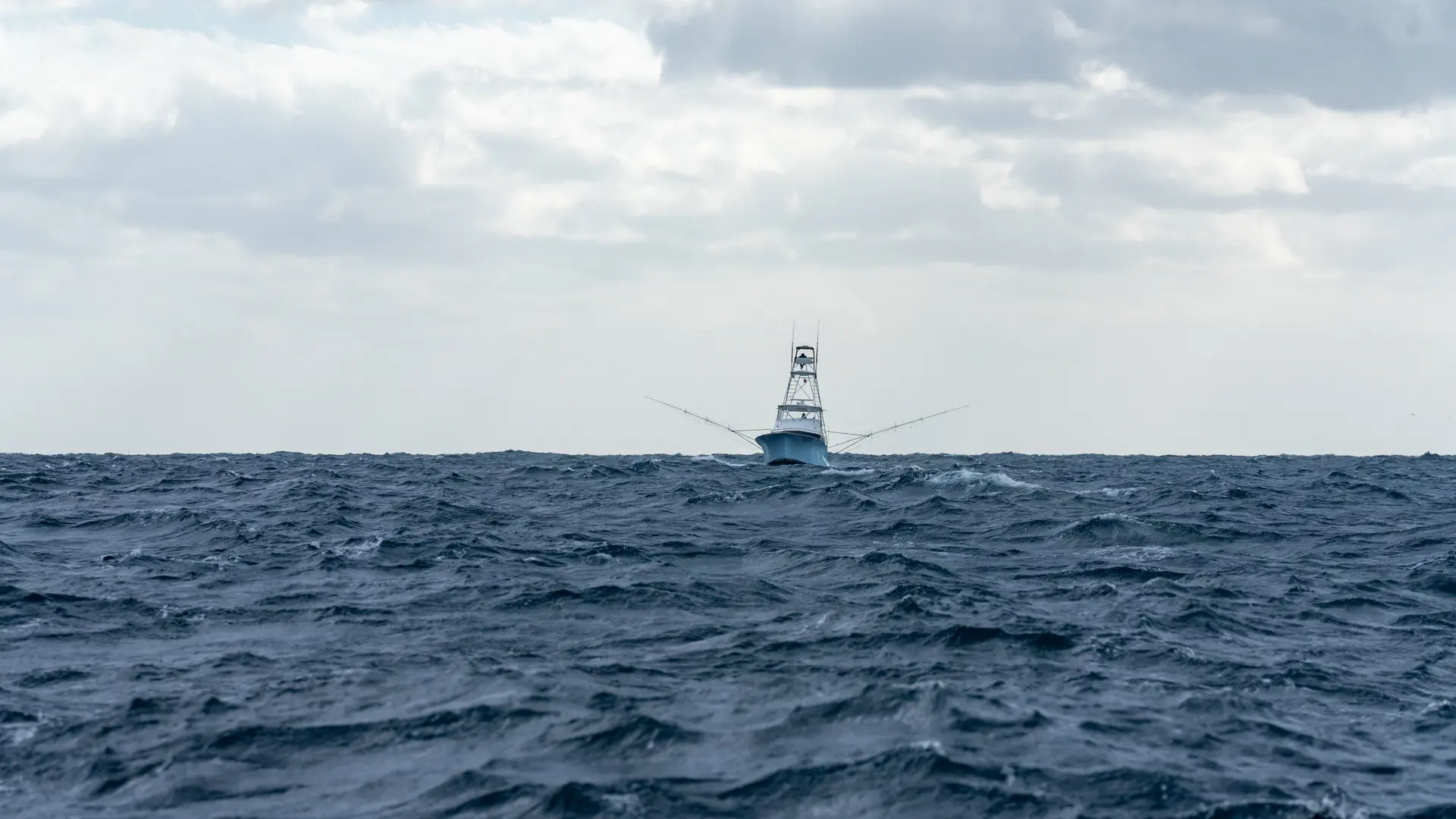 Pirate's Cove Tournament Background